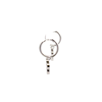 Huggie Hoops & Charm Earrings - Style 03