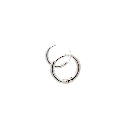 Huggie Hoops & Charm Earrings - Style 11