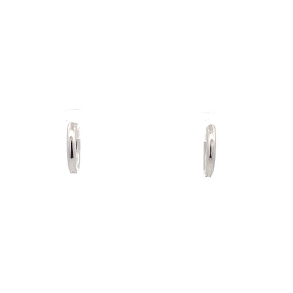 Huggie Hoops & Charm Earrings - Style 12