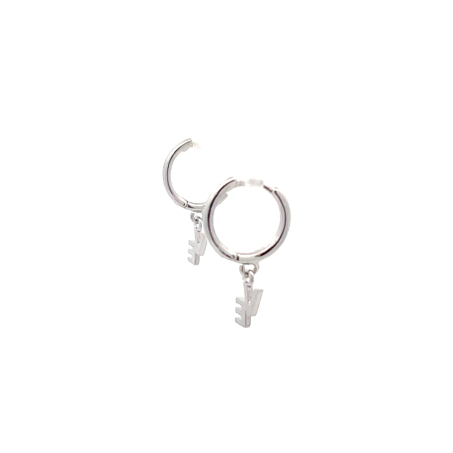 The One Huggie Hoops & Charm Earrings - Style 19