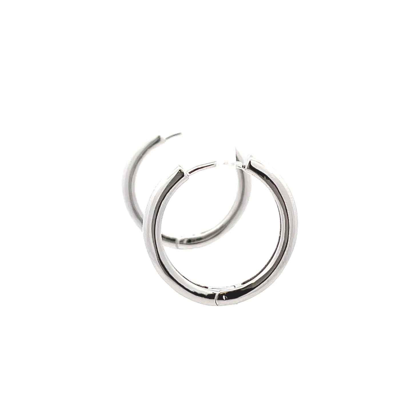 The One Huggie Hoops & Charm Earrings - Style 21