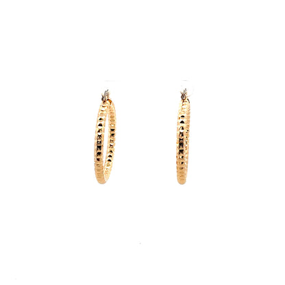 Aluminum Hoop Earring - 204