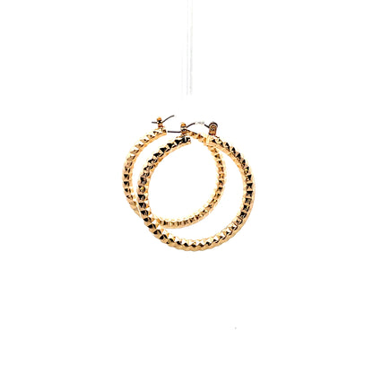 Aluminum Hoop Earring - 204