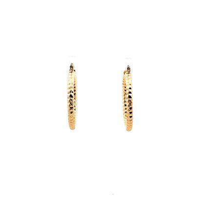 Aluminum Hoop Earring - 204
