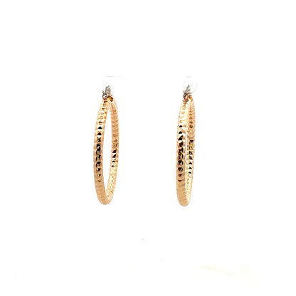 Aluminum Hoop Earring - 205
