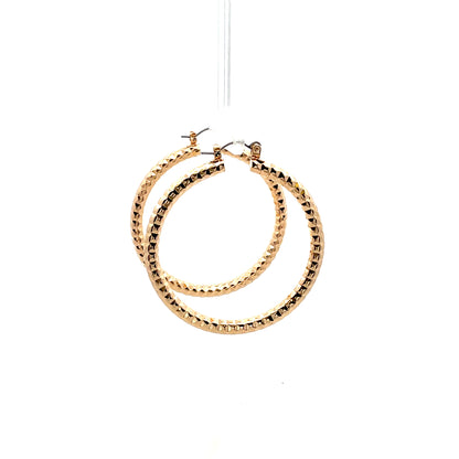 Aluminum Hoop Earring - 205