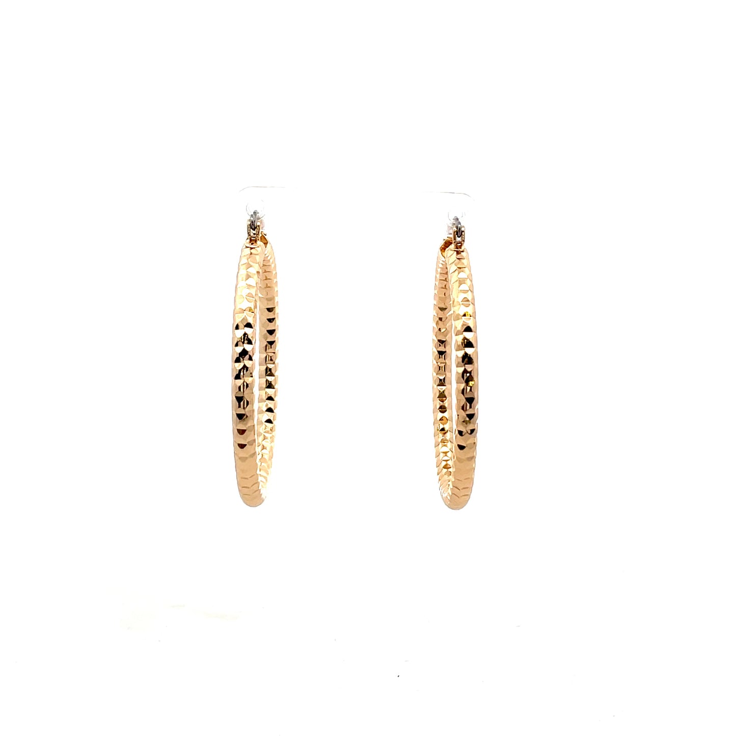 Aluminum Hoop Earring - 205