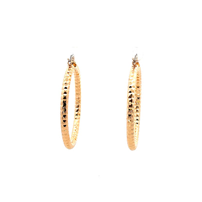 Aluminum Hoop Earring - 206