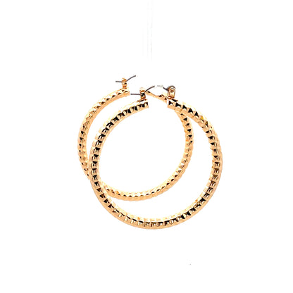 Aluminum Hoop Earring - 206
