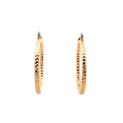 Aluminum Hoop Earring - 207