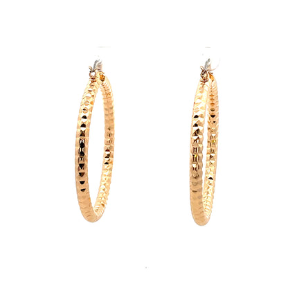 Aluminum Hoop Earring - 208