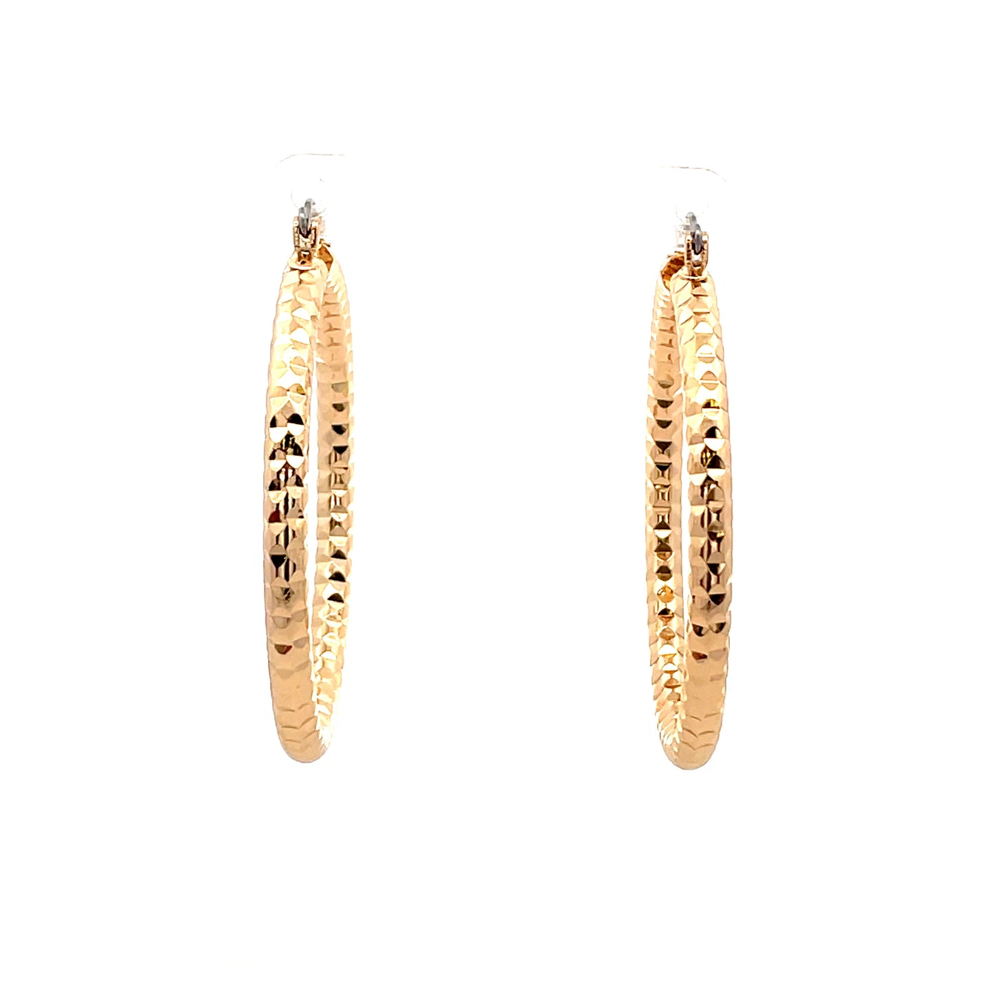 Aluminum Hoop Earring - 208