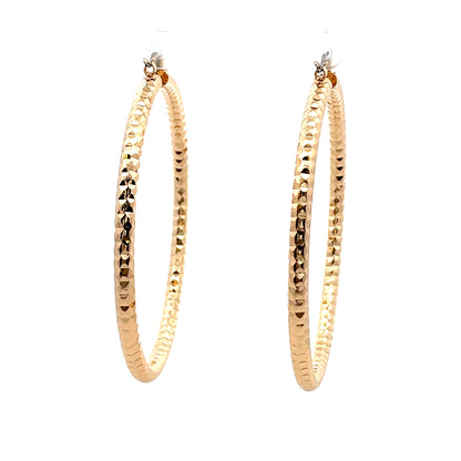 Aluminum Hoop Earring - 210