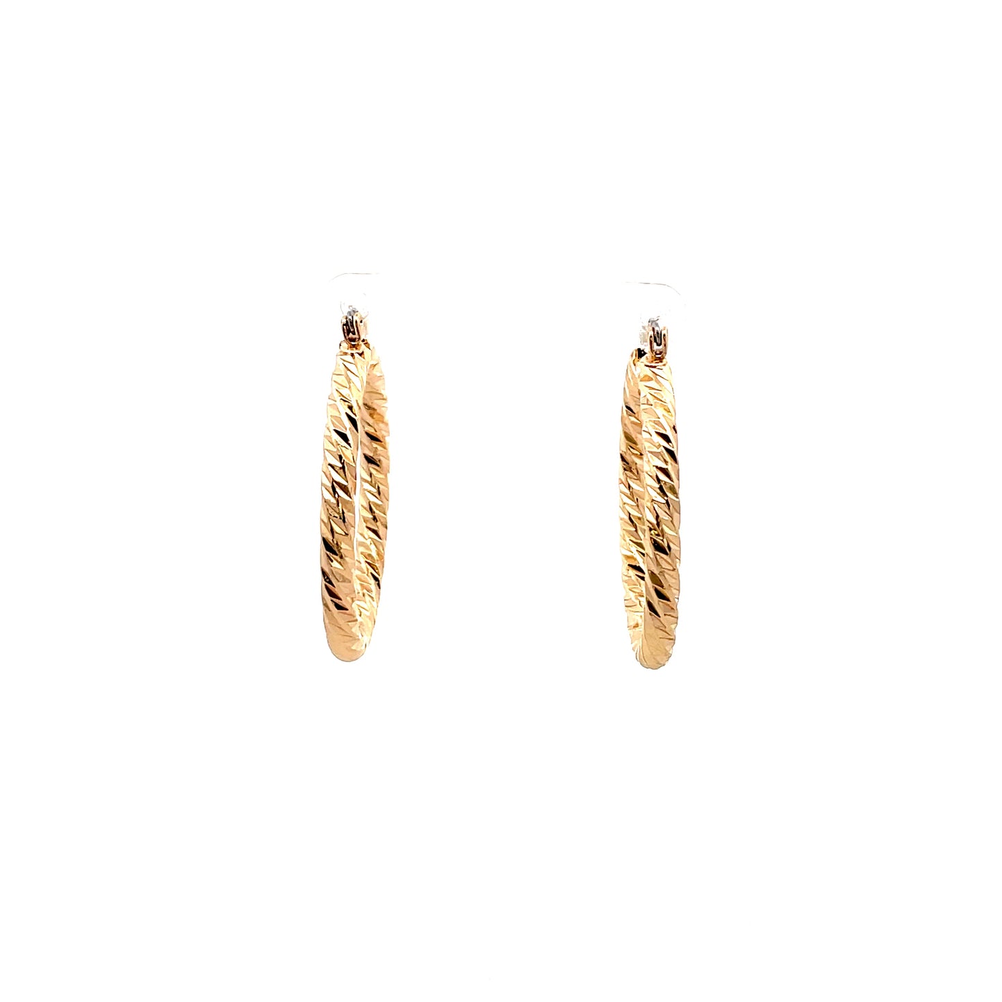 Aluminum Hoop Earring - 304