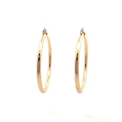 Aluminum Hoop Earring - 106