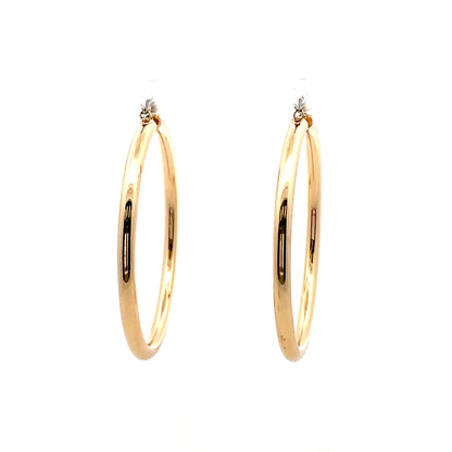 Aluminum Hoop Earring - 107
