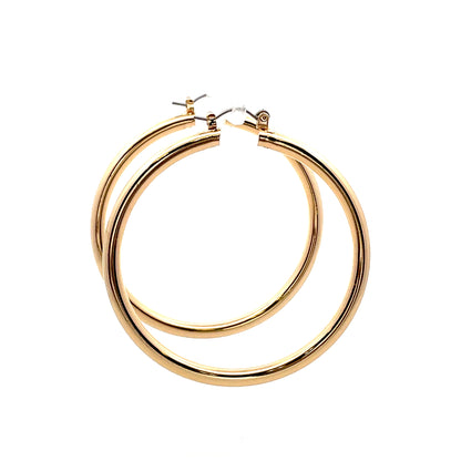 Aluminum Hoop Earring - 107