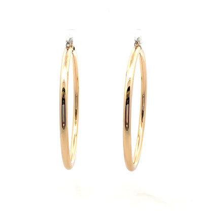 Aluminum Hoop Earring - 108