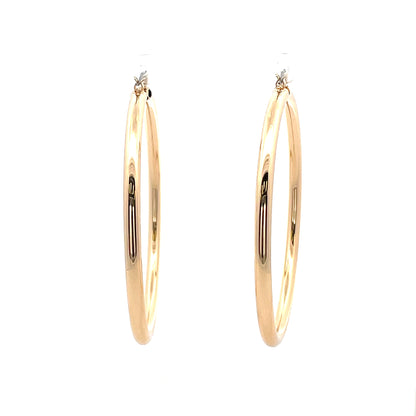 Aluminum Hoop Earring - 110