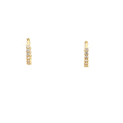 Huggie Hoops & Charm Earrings - Style 09