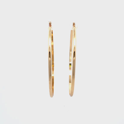 Floor Pin-catch Earrings - Style 51