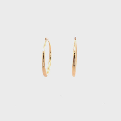 Hollow Plain Hoop Earrings - 03