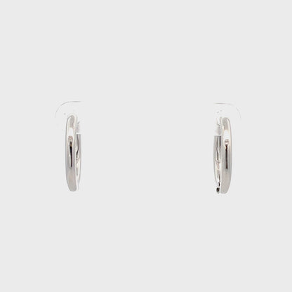 Huggie Hoops & Charm Earrings - Style 10