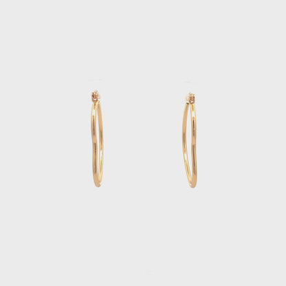Floor Pin-catch Earrings - Style 30