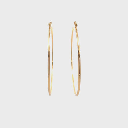 Floor Pin-catch Earrings - Style 50