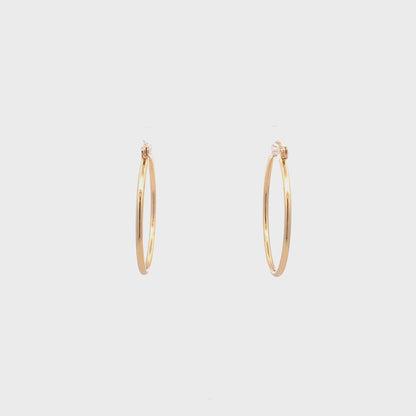 Floor Pin-catch Earrings - Style 25