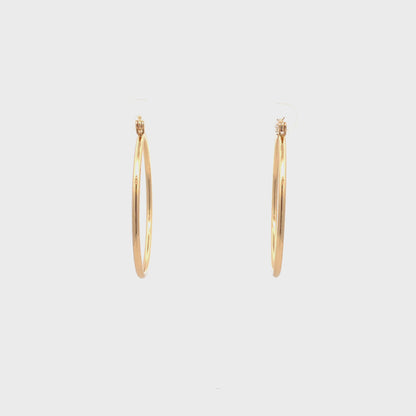 Floor Pin-catch Earrings - Style 31