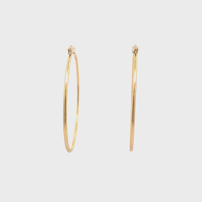 Floor Pin-catch Earrings - Style 43