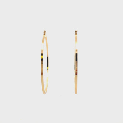Floor Pin-catch Earrings - Style 48