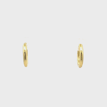 Huggie Hoops & Charm Earrings - Style 11