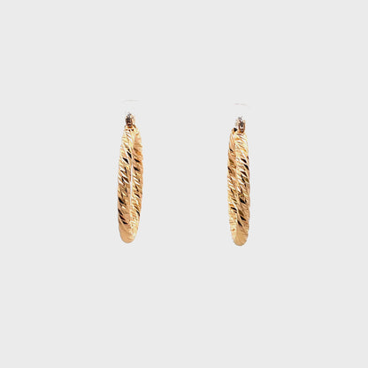 Aluminum Hoop Earring - 304