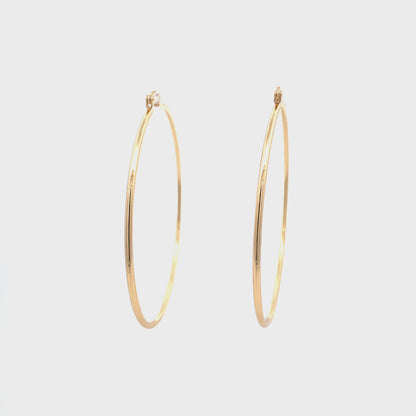 Floor Pin-catch Earrings - Style 49