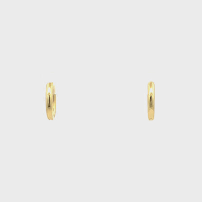Huggie Hoops & Charm Earrings - Style 12