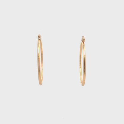 Floor Pin-catch Earrings - Style 35
