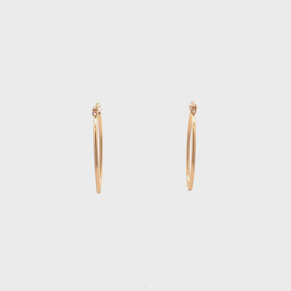 Floor Pin-catch Earrings - Style 26