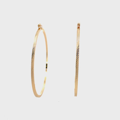 Floor Pin-catch Earrings - Style 47