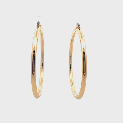 Aluminum Hoop Earring - 108