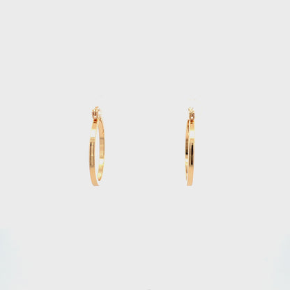 Floor Pin-catch Earrings - Style 19