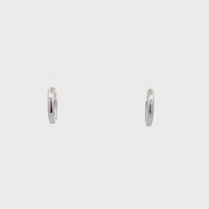 Huggie Hoops & Charm Earrings - Style 12