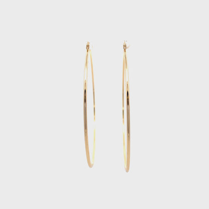 Floor Pin-catch Earrings - Style 52