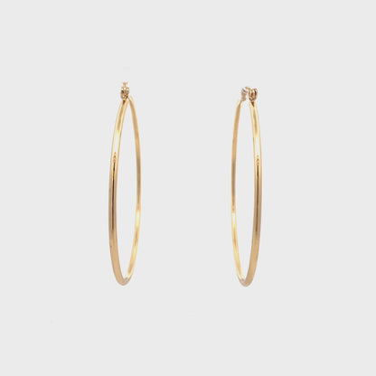 Floor Pin-catch Earrings - Style 46