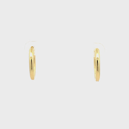 Huggie Hoops & Charm Earrings - Style 10