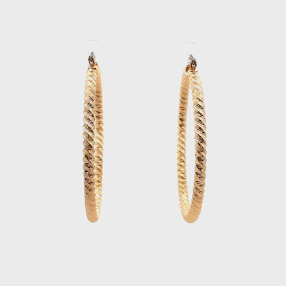 Aluminum Hoop Earring - 407