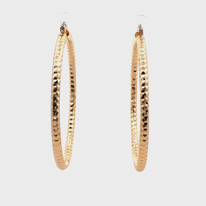 Aluminum Hoop Earring - 210