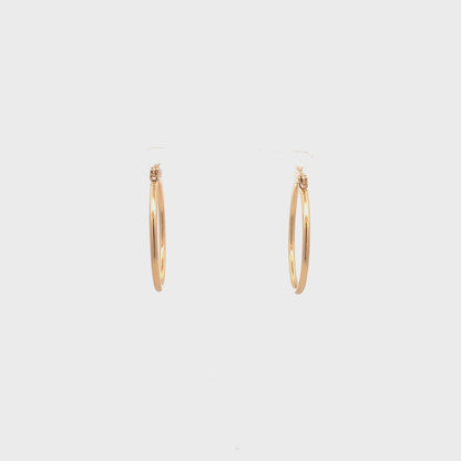 Floor Pin-catch Earrings - Style 21