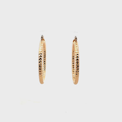 Aluminum Hoop Earring - 205